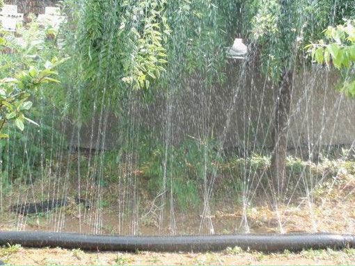 噴（pēn）灌帶案例