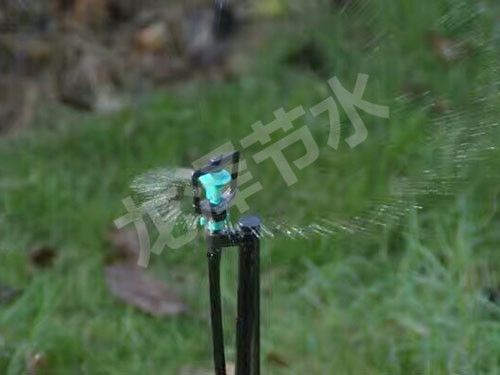 地（dì）插微噴