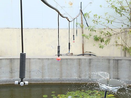 吊掛微（wēi）噴（pēn）