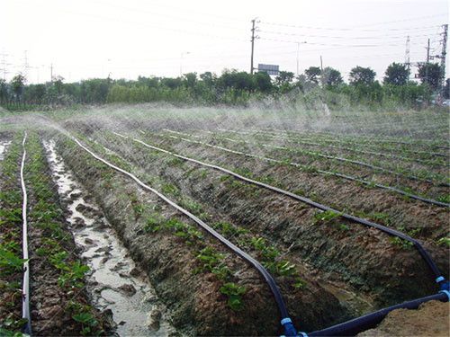 微（wēi）噴（pēn）噴灌帶