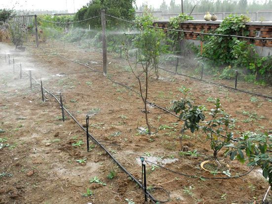 萊蕪市麻豆短视频传媒网站節水灌溉(gài)製品有(yǒu)限公司